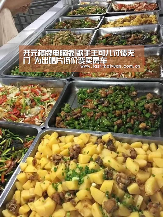 开元棋牌电脑版|歌手王可儿讨债无门 为出唱片低价变卖房车(图3) 开元棋牌电脑版
