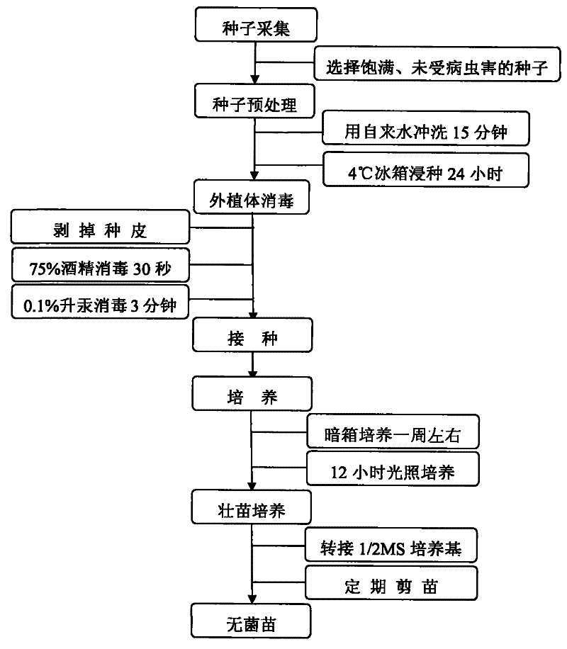 开元棋牌官方下载